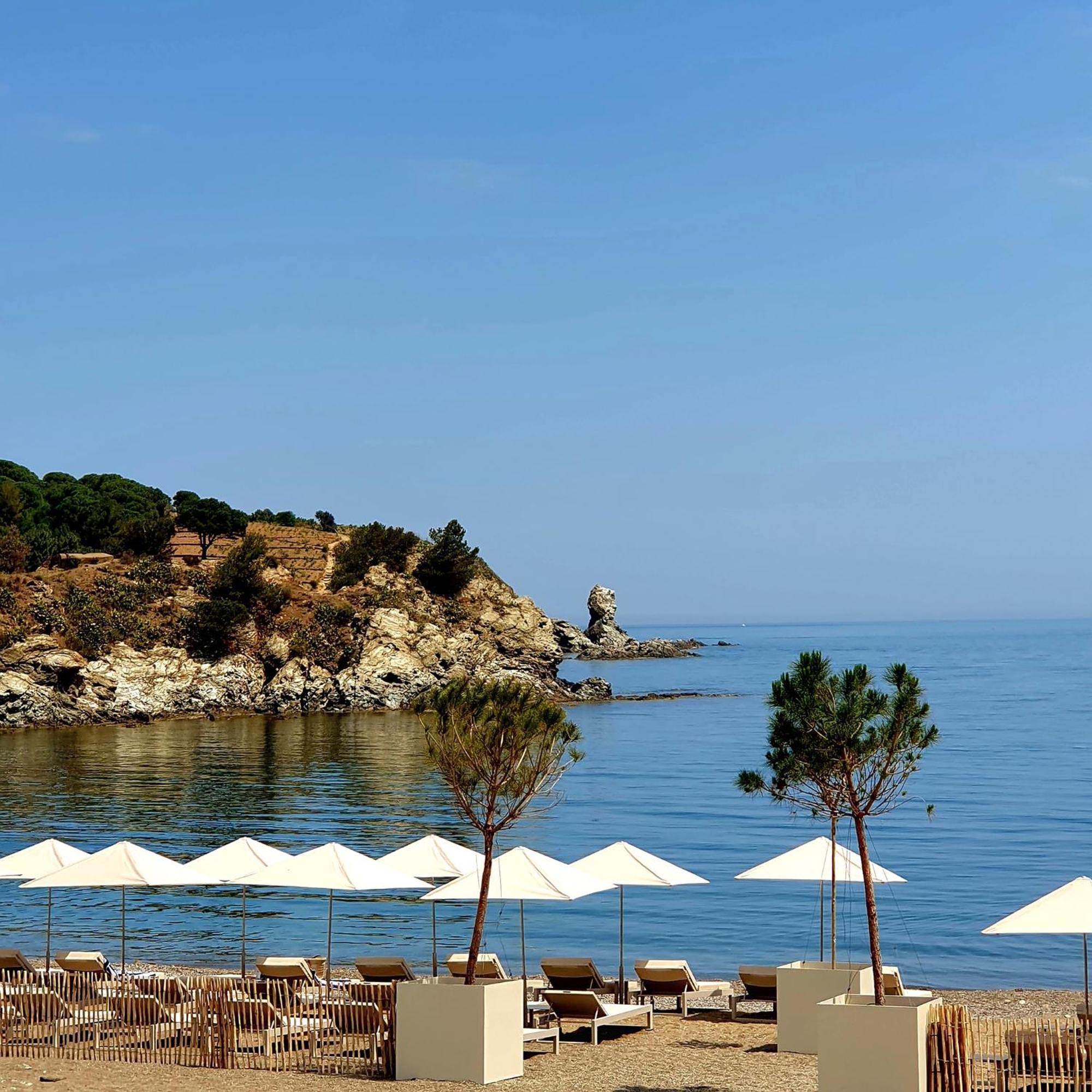 Face A La Mer Residence Les Elmes Banyuls-sur-Mer Exteriér fotografie